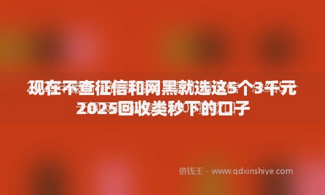 现在不查征信和网黑就选这5个3千元2025回收类秒下的口子