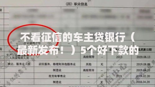 不看征信的车主贷银行（最新发布！）5个好下款的贷款平台