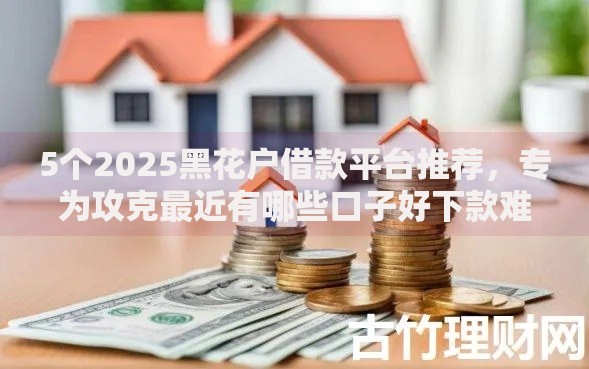 5个2025黑花户借款平台推荐，专为攻克最近有哪些口子好下款难题