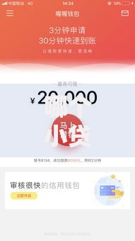 哪个小贷可秒批小额？分享6个类似高炮口子的平台
