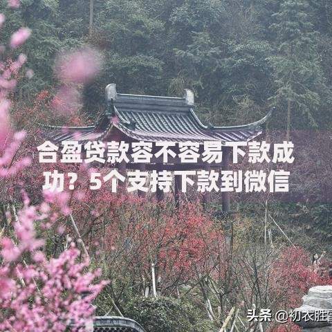 合盈贷款容不容易下款成功？5个支持下款到微信的平台借钱不看综合评分