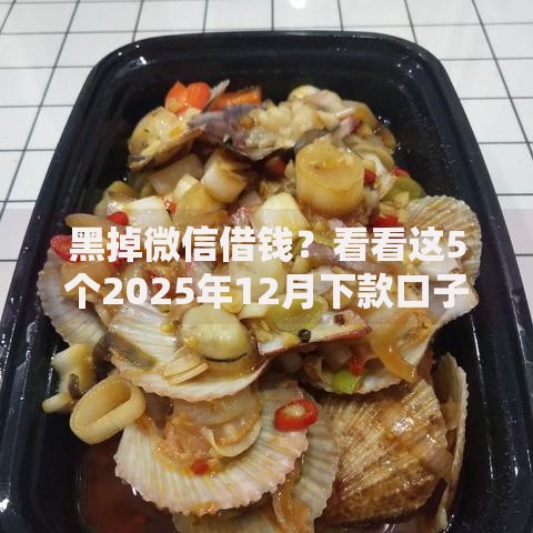 黑掉微信借钱？看看这5个2025年12月下款口子怎么样