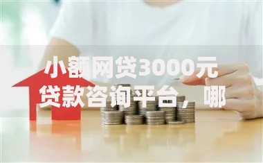 小额网贷3000元贷款咨询平台，哪款借钱平台好下款的6个平台介绍