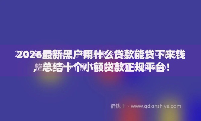 2026最新黑户用什么贷款能贷下来钱，总结十个小额贷款正规平台！