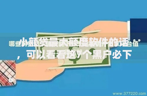 小额贷最大额度软件的话，可以看看这7个黑户必下款的口子贴吧推荐