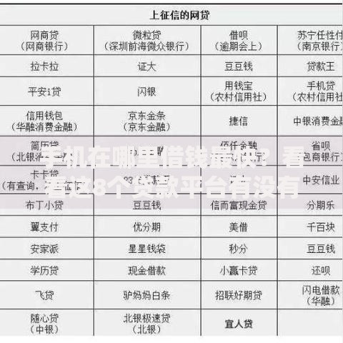 手机在哪里借钱最快？看看这8个贷款平台有没有能下款的