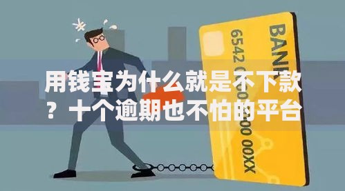 用钱宝为什么就是不下款？十个逾期也不怕的平台借钱正规