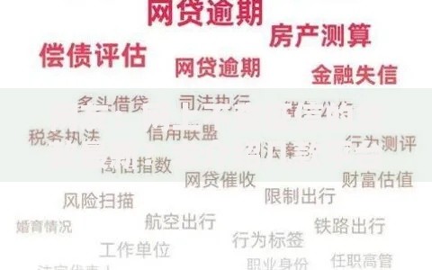 网友：网上不查征信的贷款最新？求介绍几款平台借钱容易