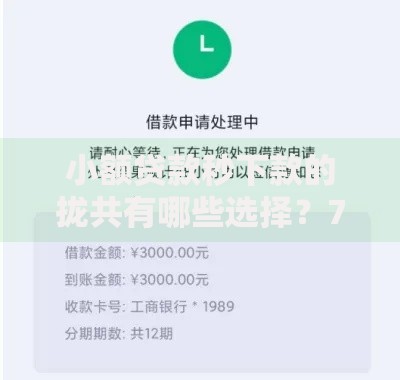 小额贷款秒下款的拢共有哪些选择？7个可以借1000的平台秒下款详解