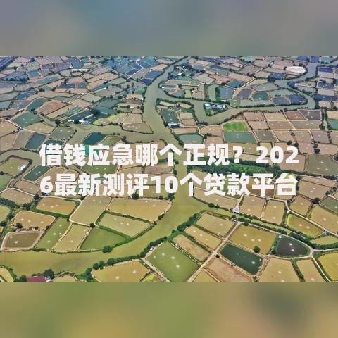 借钱应急哪个正规？2026最新测评10个贷款平台好贷