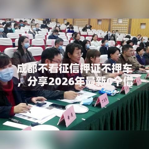 成都不看征信押证不押车，分享2026年最新6个借款平台借钱快