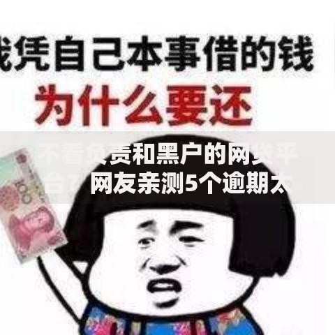 不看负责和黑户的网贷平台？网友亲测5个逾期太多仍可下款的口子盘点