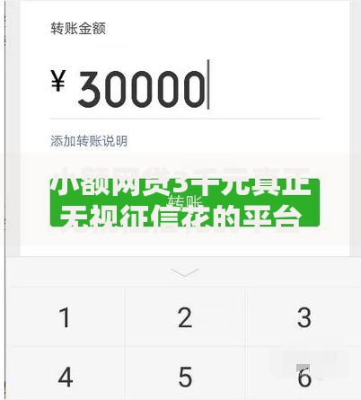 小额网贷3千元真正无视征信花的平台，抖音上怎么借钱微信的8个平台介绍