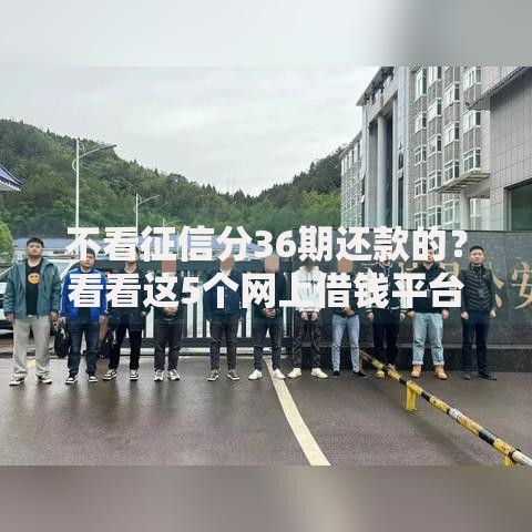 不看征信分36期还款的？看看这5个网上借钱平台好怎么样