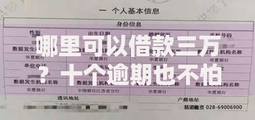 哪里可以借款三万？十个逾期也不怕的急用小钱不求征信流水轻松贷的口子