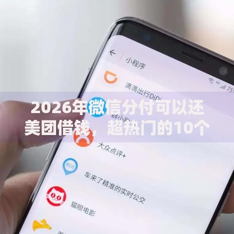 2026年微信分付可以还美团借钱，超热门的10个借得到的贷款平台推荐