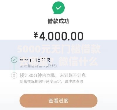 5000元无门槛借款去哪里？微信什么地方借钱看这8个平台