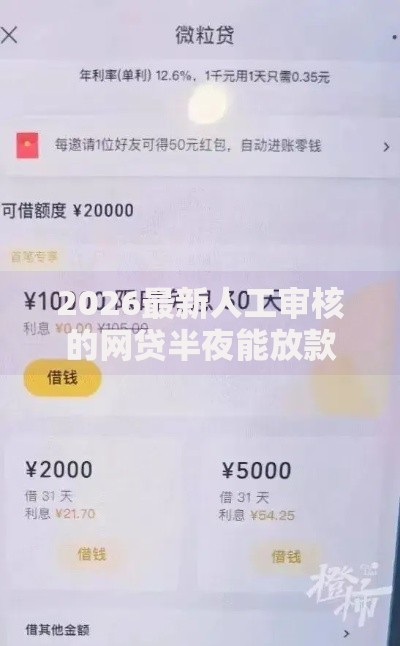 2026最新人工审核的网贷半夜能放款吗（支持微信），5个车贷款平台无私分享