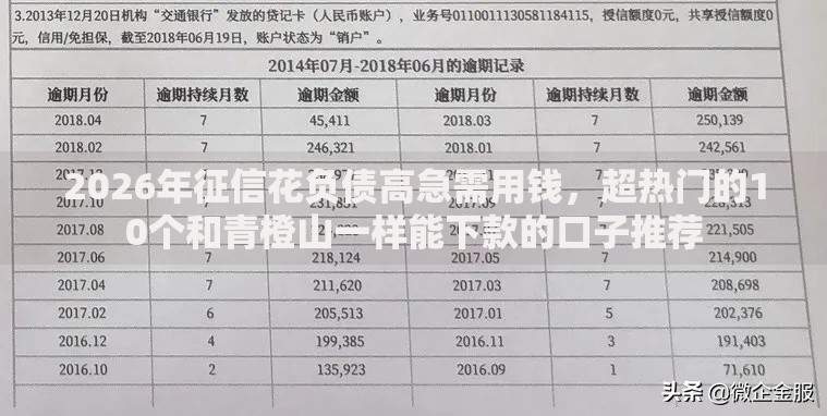 2026年征信花负债高急需用钱，超热门的10个和青橙山一样能下款的口子推荐