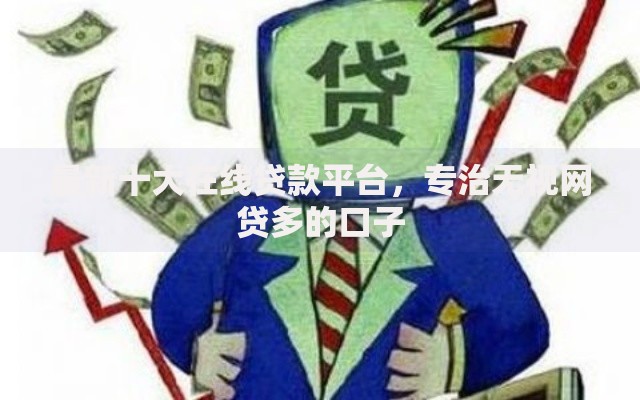 最新十大在线贷款平台，专治无视网贷多的口子