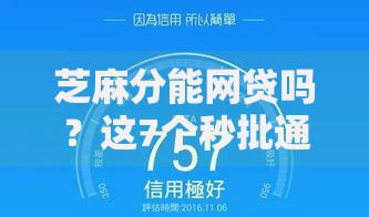 芝麻分能网贷吗？这7个秒批通过的网贷平台值得一试