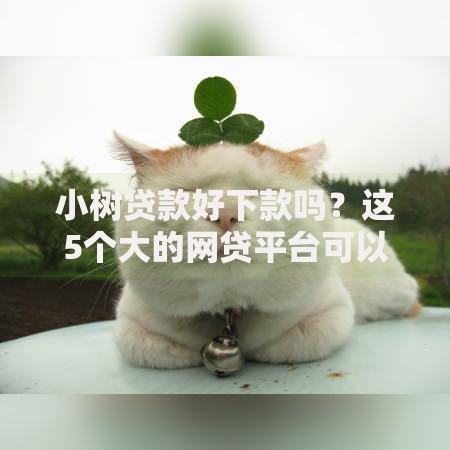 小树贷款好下款吗？这5个大的网贷平台可以试试