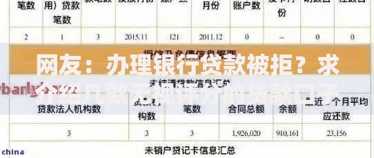 网友：办理银行贷款被拒？求介绍几款无视评分的贷款口子