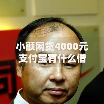 小额网贷4000元支付宝有什么借钱平台，给你为什么有额度被拒的6个平台介绍