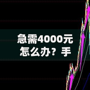 急需4000元怎么办？手机有钱花怎么借钱啊试试这5个无门槛平台