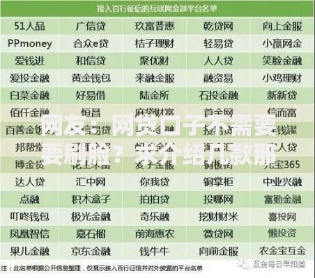 网友：网贷口子不需要要刷脸？求介绍几款那些平台60—65岁可以借钱