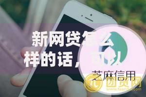 新网贷怎么样的话，可以看看这6个不用芝麻分能借的口子