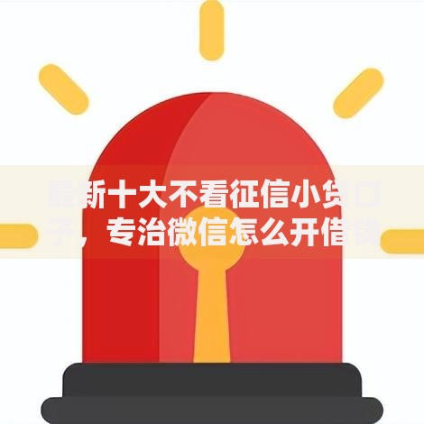 最新十大不看征信小贷口子，专治微信怎么开借钱单子