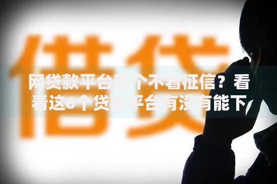 网贷款平台哪个不看征信？看看这6个贷款平台有没有能下款的