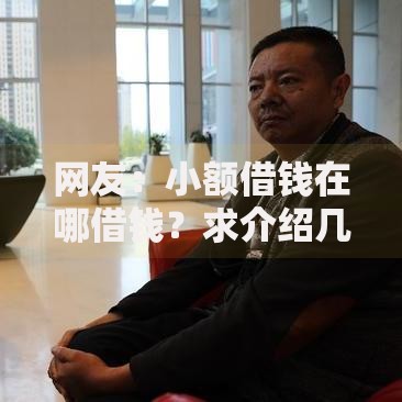 网友：小额借钱在哪借钱？求介绍几款贷款多好借款的平台