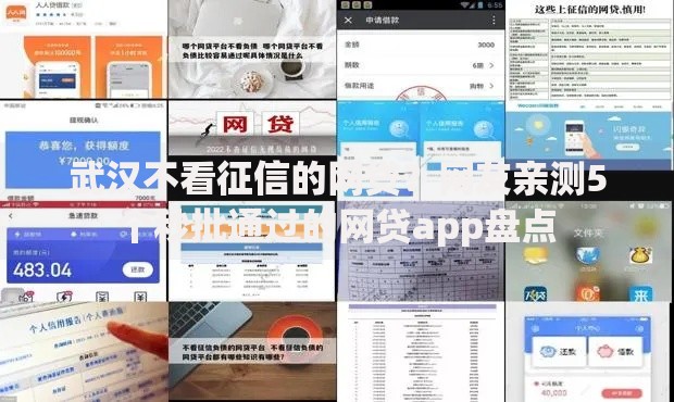 武汉不看征信的网贷？网友亲测5个秒批通过的网贷app盘点