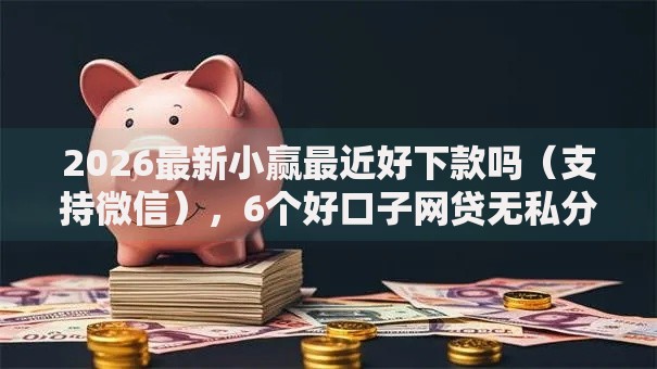 2026最新小赢最近好下款吗（支持微信），6个好口子网贷无私分享