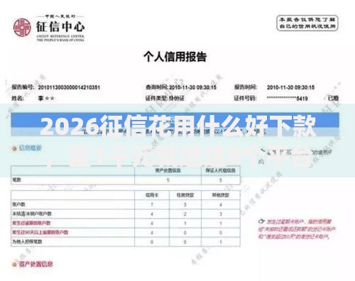 2026征信花用什么好下款，差1千元就选这8个平台