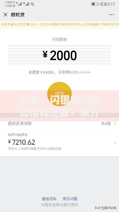 网友：闪银如何微信借钱还款？求介绍几款黑口子秒下款2025