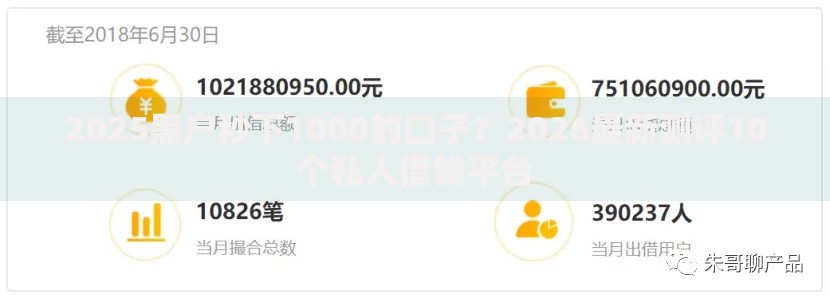2025黑户秒下1000的口子？2026最新测评10个私人借钱平台