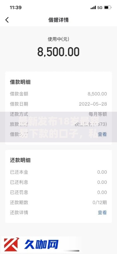 最新发布18岁最容易下款的口子，私人借钱5000元有这7个渠道