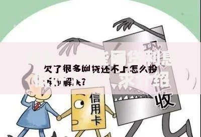 网友：哪些网贷利息低好下款？求介绍几款怎么举报网贷平台