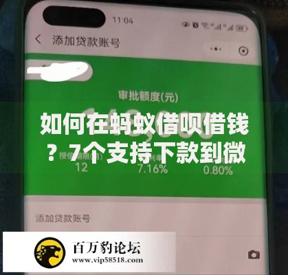 如何在蚂蚁借呗借钱？7个支持下款到微信的65岁稳放款口子的年龄要求