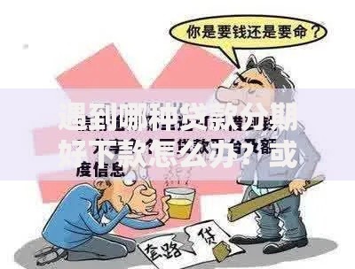 遇到哪种贷款分期好下款怎么办？或可尝试这5个征信不好,当前有逾期本人急需能借钱的平台