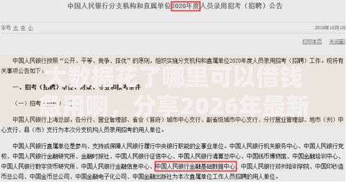 大数据花了哪里可以借钱急用啊,分享2026年最新8个无视风控不看征信的网贷 大数据花了哪里可以借钱急用啊,分享2026年最新8个无视风控不看征信的网贷
