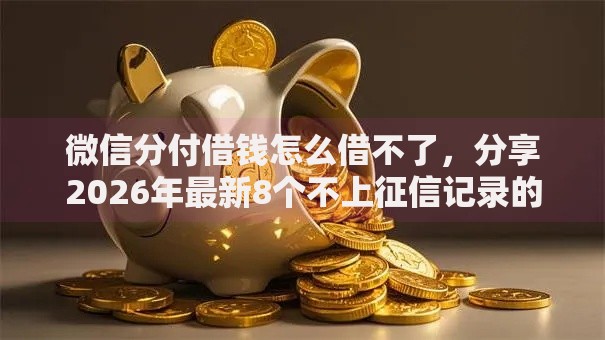 微信分付借钱怎么借不了，分享2026年最新8个不上征信记录的贷款平台
