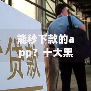 能秒下款的app？十大黑户可快速办理小额贷款业务的软件推荐