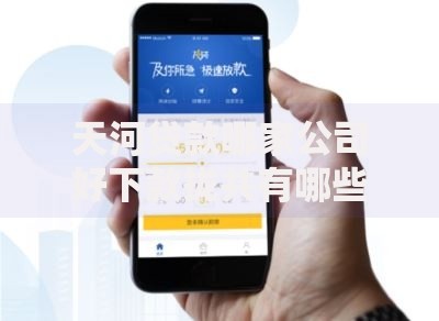 天河贷款哪家公司好下款拢共有哪些选择？10个极速审核的网贷软件详解