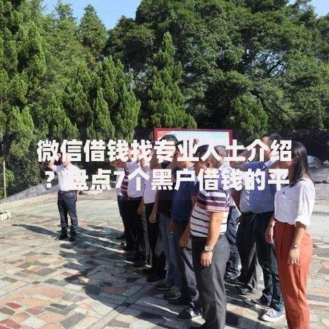 微信借钱找专业人土介绍？盘点7个黑户借钱的平台给你参考