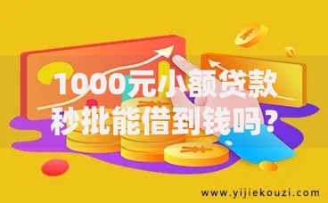 1000元小额贷款秒批能借到钱吗？6千元无门槛借款6个平台推荐