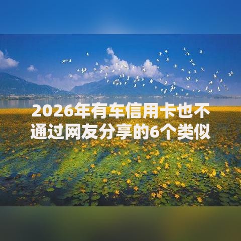 2026年有车信用卡也不通过网友分享的6个类似易开花的贷款平台我觉得不错！